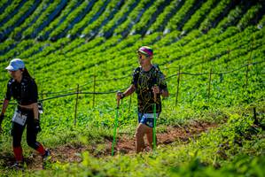 BIB: 
                            <button type="button" onclick="openModal(19161524)" class="btn btn-primary btn-sm float-right btn-popup" data-toggle="modal" data-target=".modal-high-quality">
                        <i class="fas fa-shopping-cart"></i> Add to Cart
                    </button>
                                            <button type="button" onclick="isThisMe(19161524, true)" class="btn btn-success btn-sm float-right btn-popup btn-isme hidden" data-toggle="tooltip" data-placement="bottom" title="นี่คือรูปของคุณใช่ไหม คลิกที่นี่เพื่อเอาเข้าอัลบั้ม">
                        <i class="fas fa-plus"></i> Add to album
                    </button>
                    <button type="button" onclick="isThisMe(19161524, false)" class="btn btn-warning btn-sm float-right btn-popup btn-isnotme hidden">
                        <i class="fas fa-ban"></i> Remove from album
                    </button>